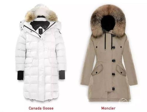二手加拿大鹅和gucci,京东二手加拿大鹅是正品吗